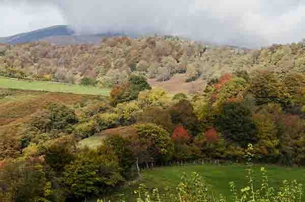 Reyno de Navarra - valle de Aezkoa 1.jpg